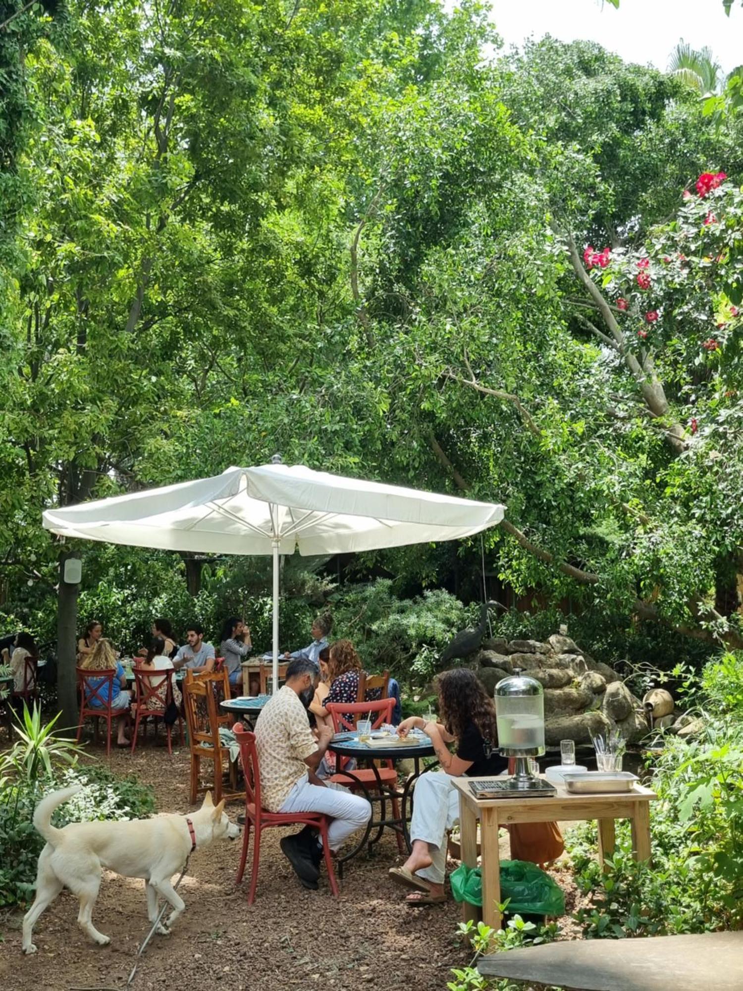 Vitrage Holiday Village And Spa Beit Hillel Exterior foto
