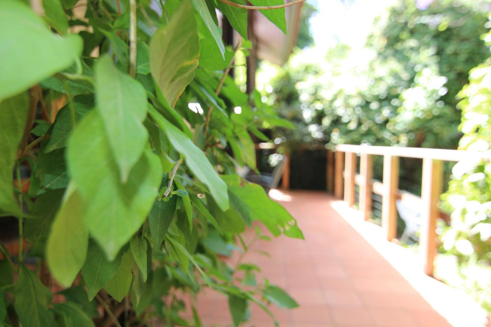 Vitrage Holiday Village And Spa Beit Hillel Quarto foto